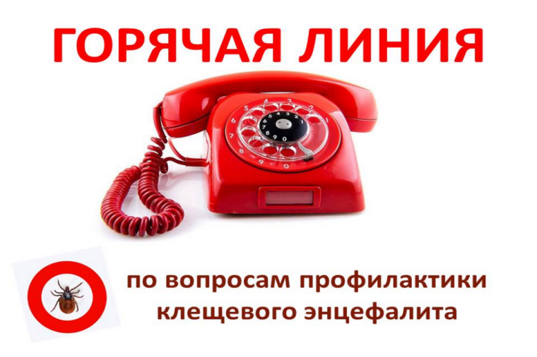 О Всероссийской горячей линии по профилактике клещевого энцефалита и инфекций, передающихся клещами.